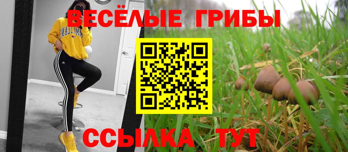 Псилоцибиновые грибы ЛСД Шадринск