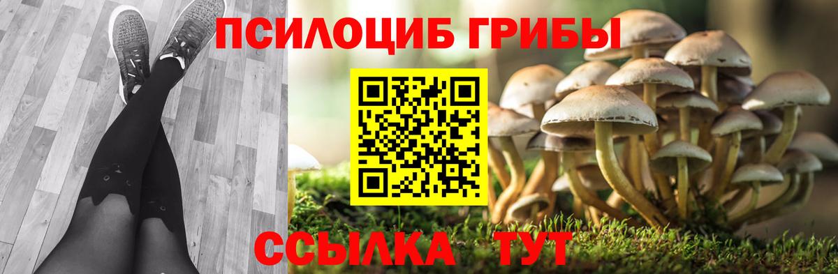 Шадринск  Псилоцибиновые грибы Magic Shrooms  Галлюциногенные грибы прущие грибы  Вход с VPN 